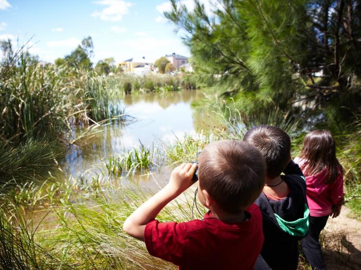 Kids looking for frogs